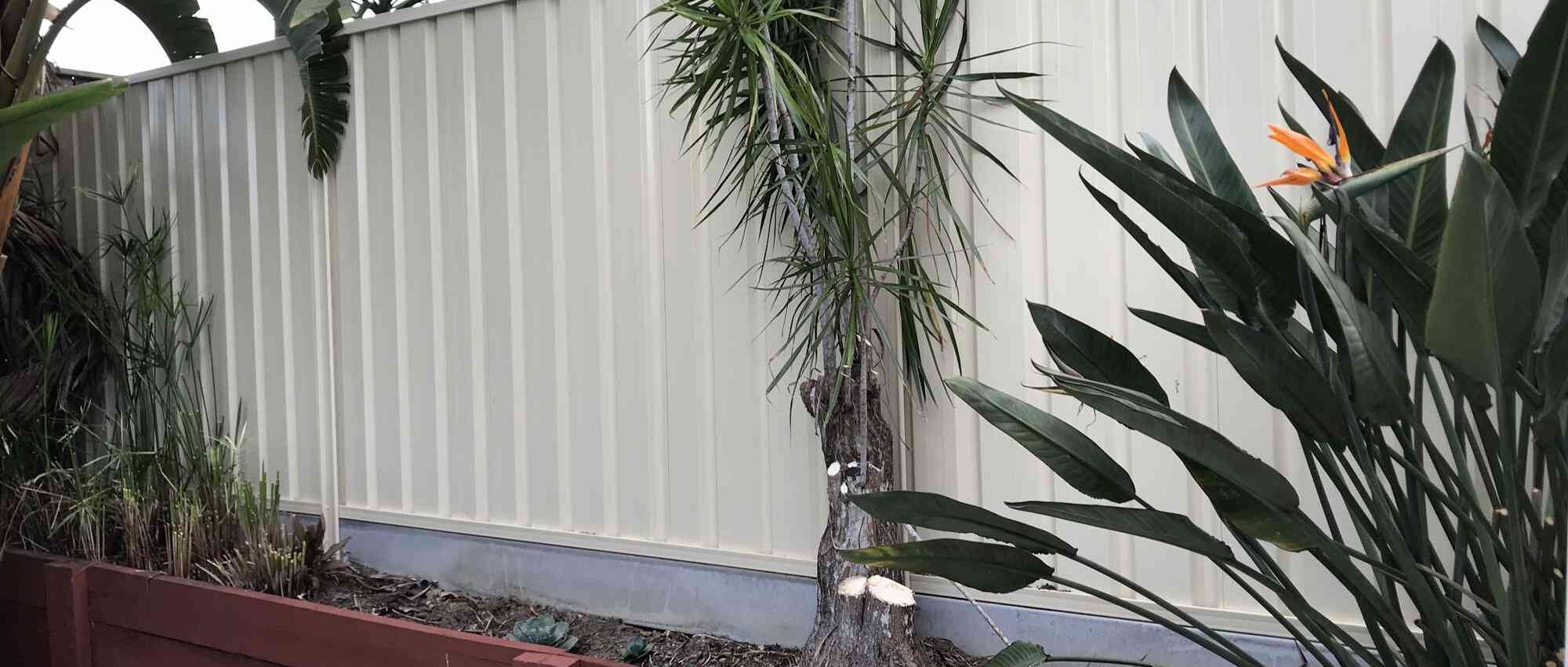 Fencing Gladstone paving